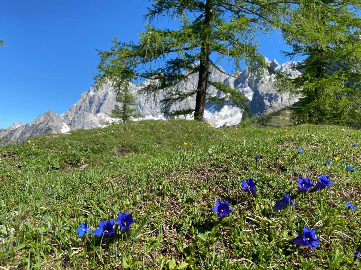 Haus Sonnleitner Apartment Ramsau am Dachstein Bagian luar foto